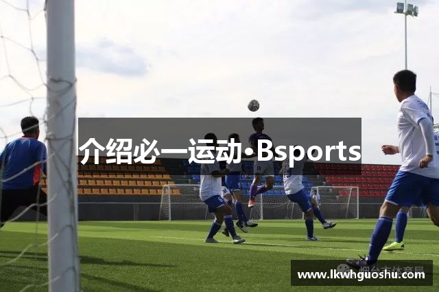 介绍必一运动·Bsports